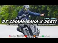Download Lagu DJ PLAT KT CINAAN BANA X SEKTI REMIX BY SARIP SAPUTRA SOUND KANE YANG LAGI VIRAL TIK TOK