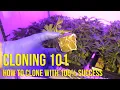 How to clone with 100 success