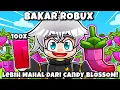 Download Lagu Aku Tanam 100 DRAGON PEPPER 0.1% di Grow a Garden