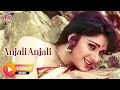Lagu Anjali Anjali Pushpanjali | A R Rahman | S P Balasubramaniam | Meenakshi | Tu Hi Mera Dil Movie Song