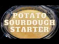 Download Lagu Learn How to Begin and Feed a Mashed Potato Sourdough Starter: See EVERY Step!