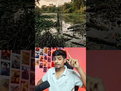 Can you find these masters of camouflage? 🤔 #shortsfeed #shortvideo