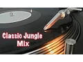 Download Lagu Jungle Music Mix 1994-1998 - Old Skool Jungle Classics
