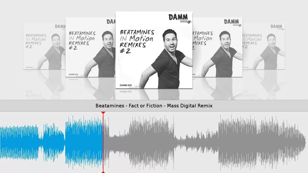 Beatamines - Fact or Fiction - Mass Digital Remix