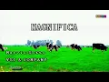 MAGNIFICA - VST & COMPANY KARAOKE