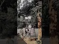 Download Lagu Panti Asuhan Tertua di Indonesia ada di Jakarta Timur!!