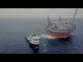 Robot Koch - Albatross