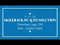 04-11 SKILLRACK DAILY CHALLENGE AND DAILY TEST SOLUTION C java python