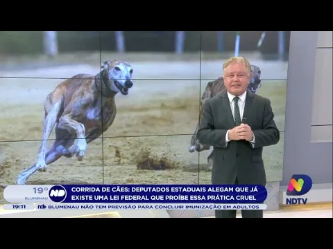 Corrida de cães: “Deputados estaduais alegam que já existe lei federal que proíbe prática cruel”