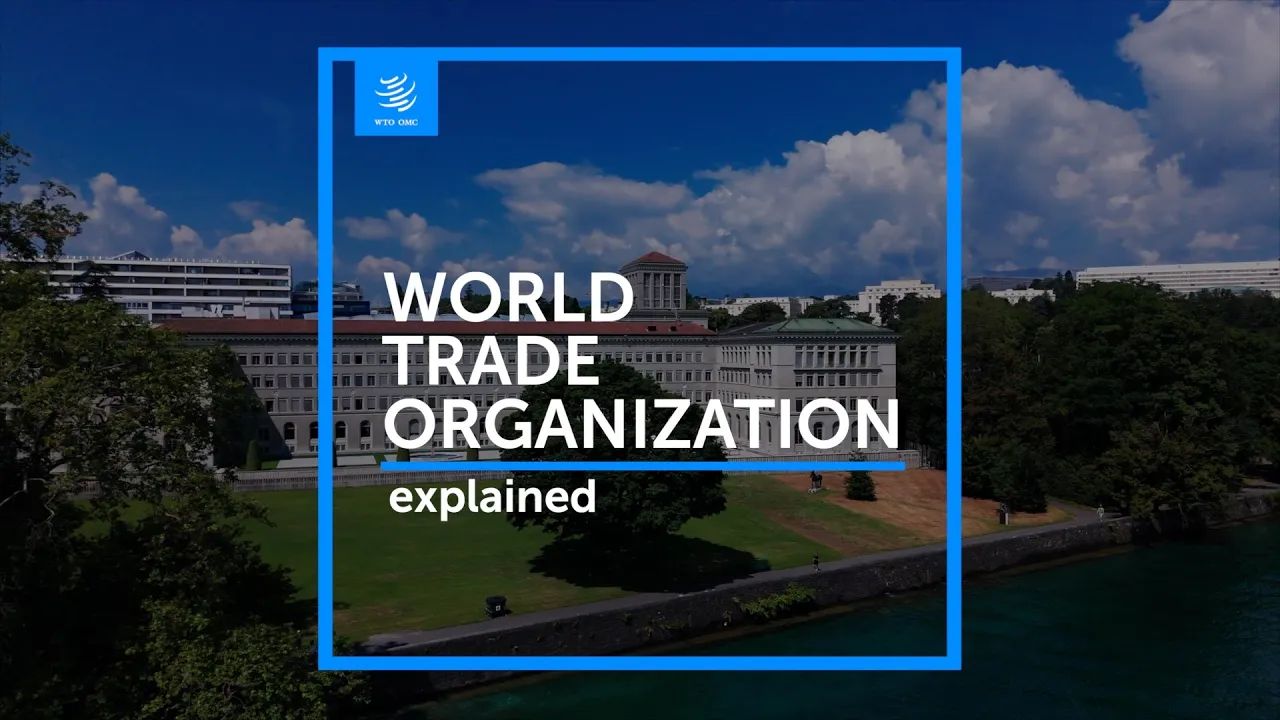 Outline Video WTO explained