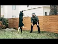 Chris Young - All Dogs Go to Heaven (Official Audio)