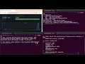 Day 61 UDP vs TCP Coding a Raw Packet Echo Server