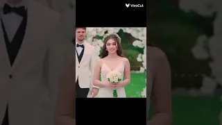 لما شفتها قلبى دق ثلاث دقات جيمري بيسال تريند التيك توك Shorts 