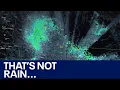 Swarm of bats seen on weather radar in Phoenix