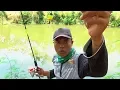 Download Lagu Pertama Nyuba Casting Dengan Umpan Kodok Beneran,,Malah Dapet Beginian