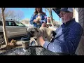 A Charming Stroll Through Historic Downtown Cleveland TN