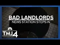 Tenant living in rainforest due to leaks in major landlord s building