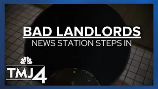 Tenant living in rainforest due to leaks in major landlord s building