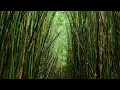 Namaste Music | Flute Meditation | Yoga