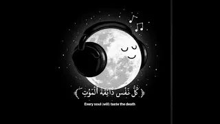 سورة العنكبوت  يا عبادي الذين امنوا ان ارضي واسعة  بصوت القارئ عبد الرحمن مسعد ضع لايك      دندنها