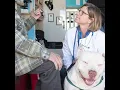 Clinic Champions Cholette Ness Seattle Veterinary Outreach