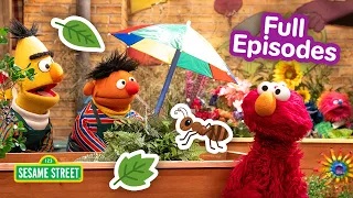 Explore Nature with Elmo Friends FOUR Sesame Street Full Episodes