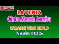 Download Lagu CINTA MERAH JAMBU KARAOKE VERSI KOPLO COVER NADA PRIA