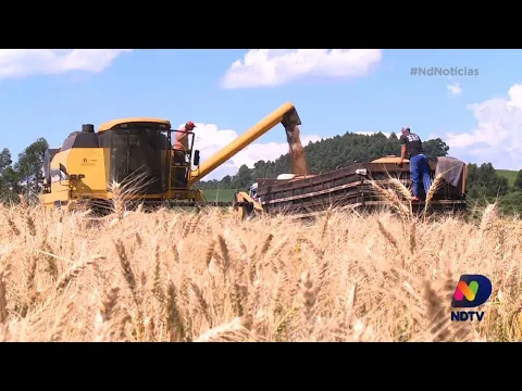Anvisa proíbe agrotóxicos com Paraquat no Brasil