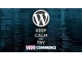 Woocommerce Advanced Tutorial for Developers Add Extra Options in Woocommerce using Hooks with PHP