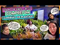 Download Lagu COMPRAMOS UM CAMINHÃO DE PLANTAS! + DILATANDO A CHURRASQUEIRA - ✨ #DIARIODAOBRA32 🏠🧱