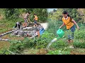 Lagu Working together, Hung, Minh, and Van Anh have completed 70% of the farm.