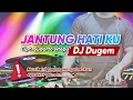 Download Lagu DJ HOUSE JANTUNG HATIKU REMIX WANRIFAL SINURAT