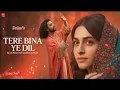 Download Lagu Tere Bina Ye Dil  (تیرے بنا یہ دل)  A Sufi Love Qawwali That Will Touch Your Soul ~ Saahil ~ 