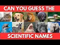 Guess the Scientific Name of the Animals Science Quiz Challenge