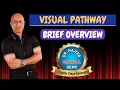 Visual Pathway Neuroscience
