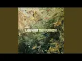 Download Lagu Lauk Mujur