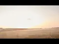 Carly Pearce - WWJD (Official Lyric Video)