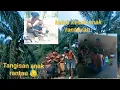 Download Lagu Tangisan anak rantau 😓 audio asli dari Awen ksatria, vidio clip Heri Ekhong