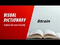 Strain Meaning Strain Definition Strain Pronunciation Visual Dictionary