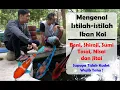 Download Lagu Wajib Tahu! Istilah-istilah ikan yang sering dibicarakan