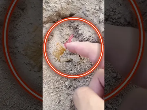 Encontré una mano misteriosa en la piscina ¿De qué es? #piscinas #tesorosantiguos