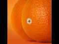 Not Worth It - Emotional Oranges