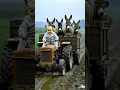 Download Lagu dudi dudi dam dam 5 #funny #trendingshorts #dudidudidam