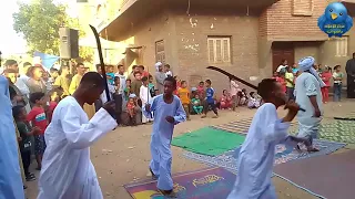 مولد الشيخ محسب السيد شمندى دندنها