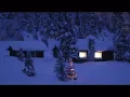 Nilüfer - her yerde kar var