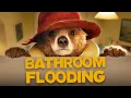 Lagu Paddington | Our Bear Floods the Bathroom | The Blessed Browns