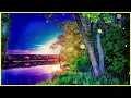Download Lagu Simply Divine, Superior music! Want to hear Infinite! Sergey Chekalin