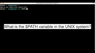 Understanding the Path Variable in Unix Systems