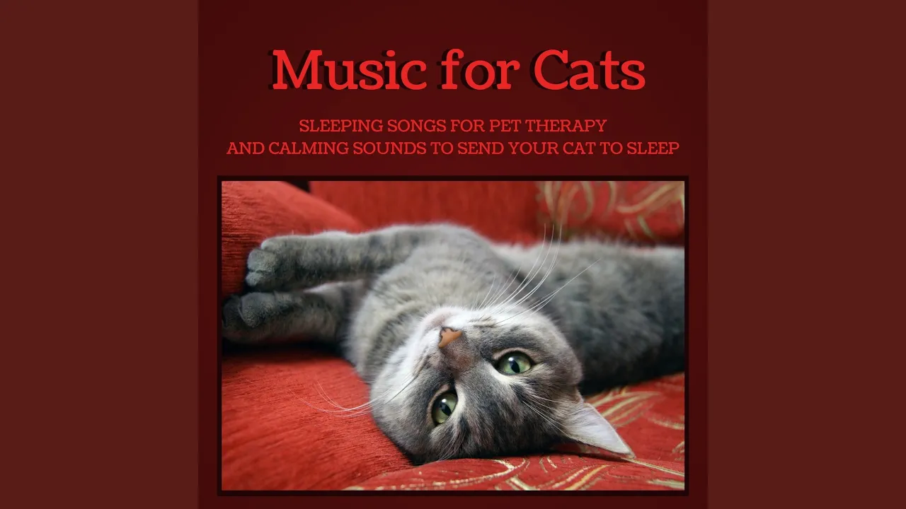 Healthy Sleep for Relaxation Healthy Sleep for Relaxation