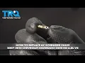 How to Replace AC Schrader Valve 2007-2014 Chevrolet Silverado 2500 6 0L V8